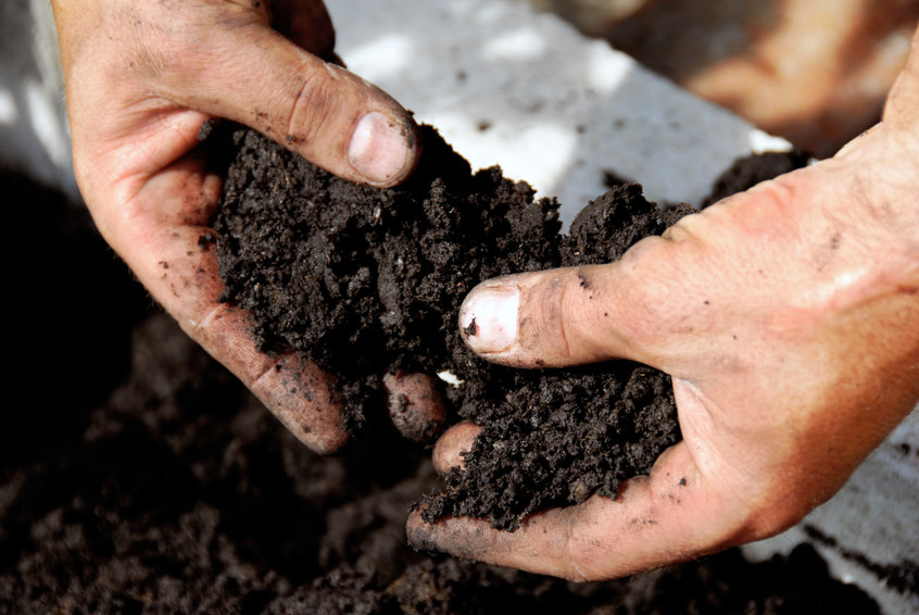 photo of dirt or soil