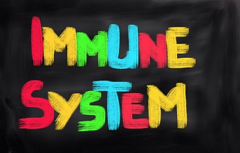Healthy Gut Flora and the Immune System go hand-in-hand.