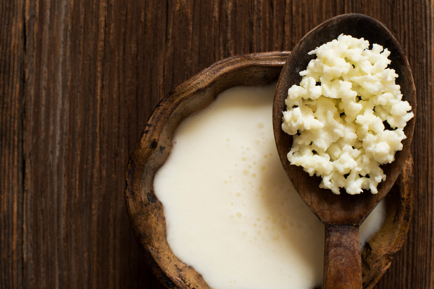 Kefir a Probiotic Drink and Boosts the Immune System