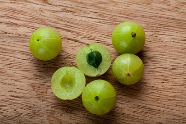 nature made vitamin c -Indian gooseberry