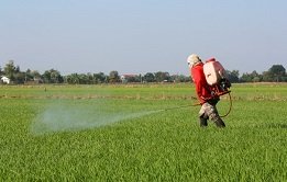 Pesticides can be harmful to gut flora so it is a good idea to avoid them.